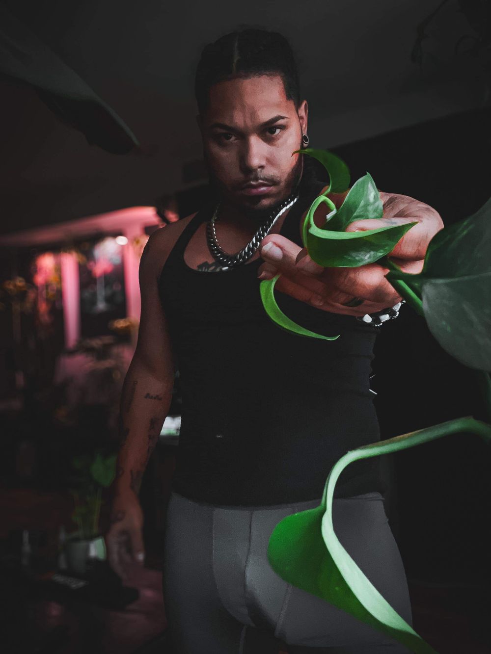 plantdaddy.com OnlyFans profile picture