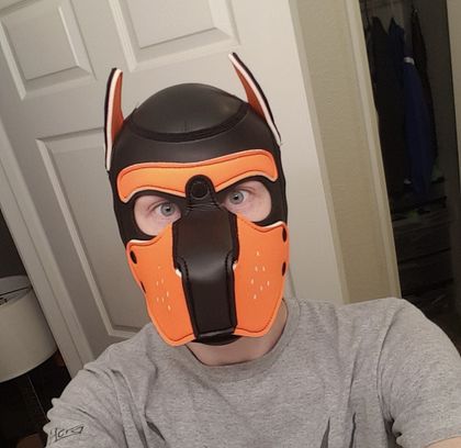 rainbow_pup OnlyFans picture