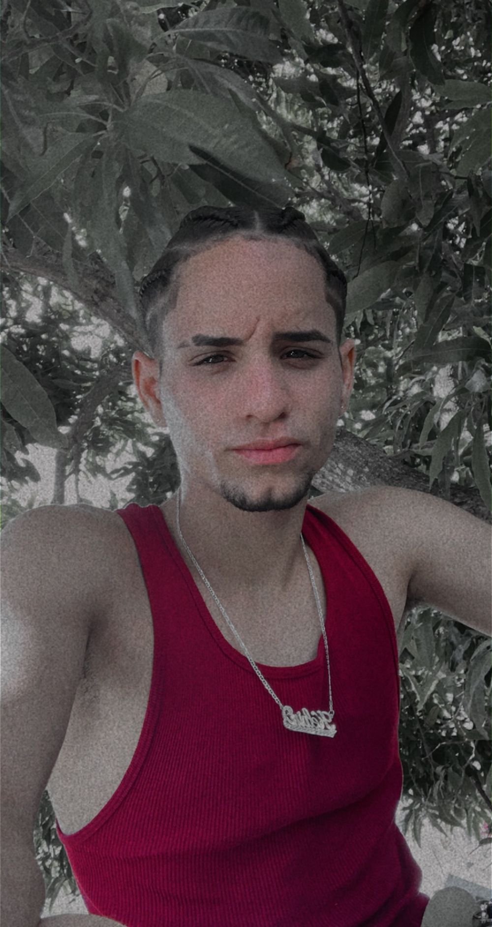 tortugatgc OnlyFans profile picture