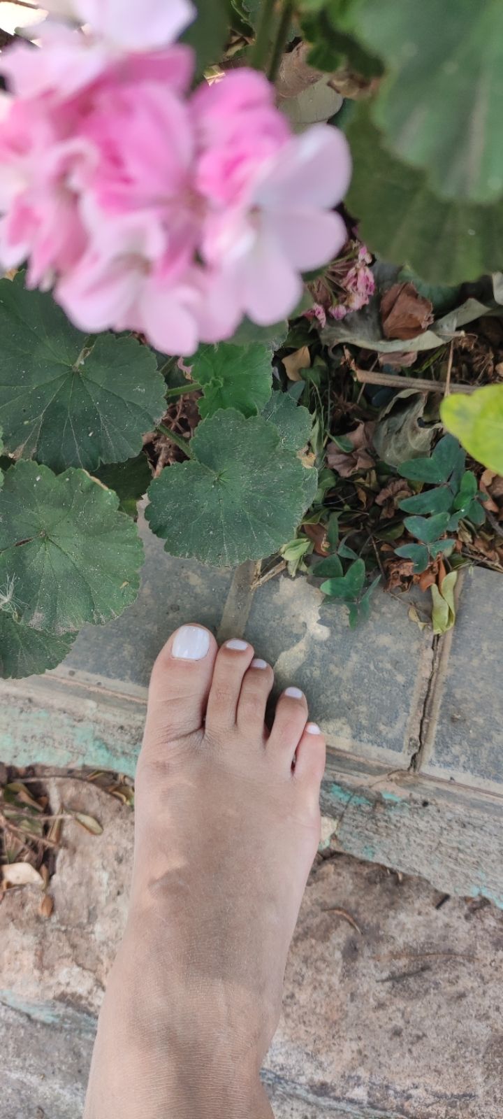 u179829585 OnlyFans profile picture