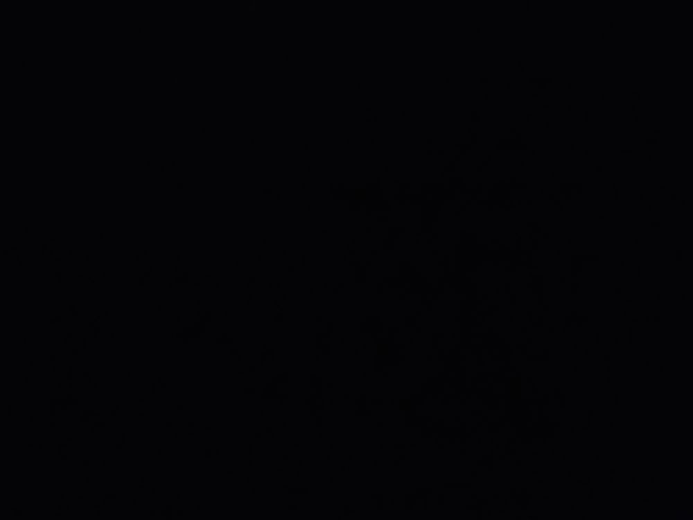 mentallynumb OnlyFans profile picture