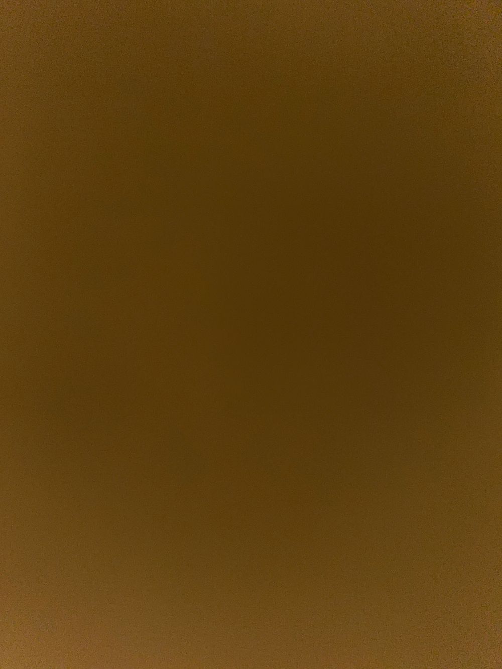 u206504051 OnlyFans profile picture