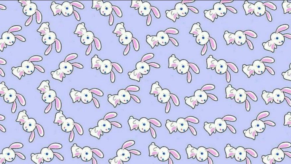rabbitandlady OnlyFans profile picture