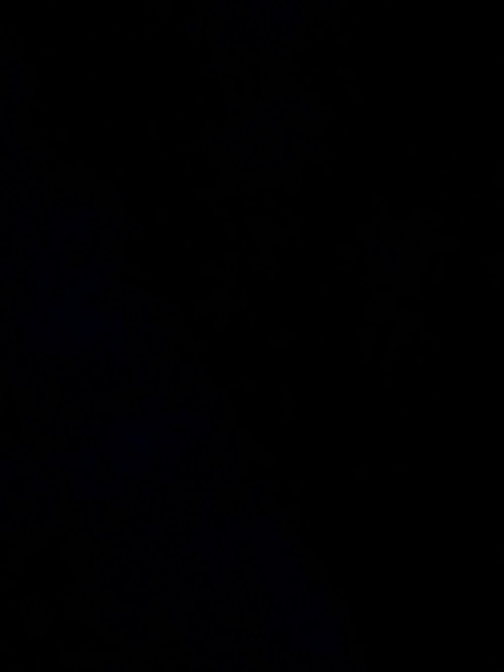 lololjgegjwegn OnlyFans profile picture