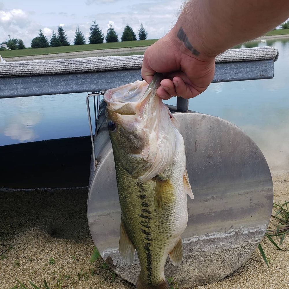 kevinchappel OnlyFans profile picture