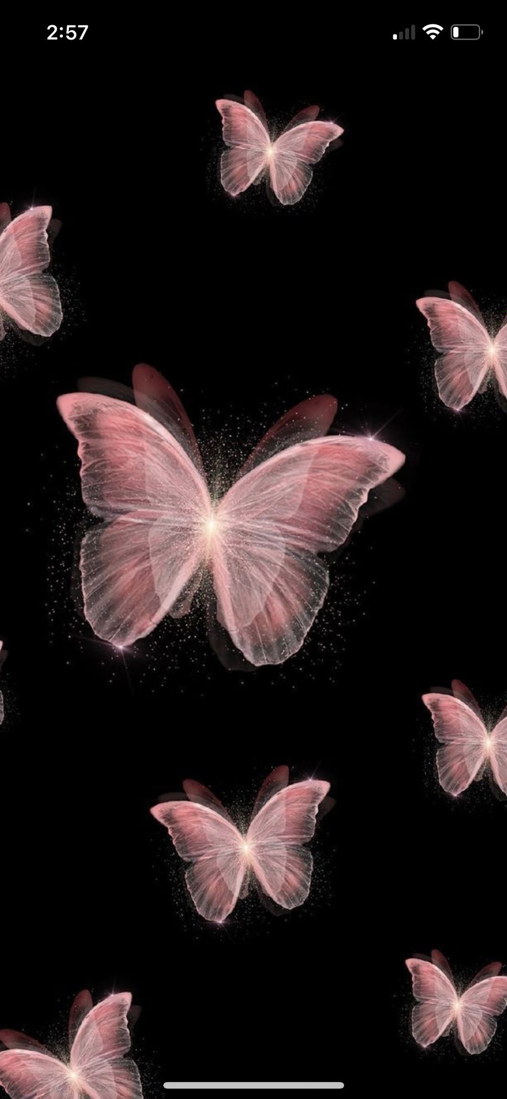 captivating_butterfly OnlyFans profile picture