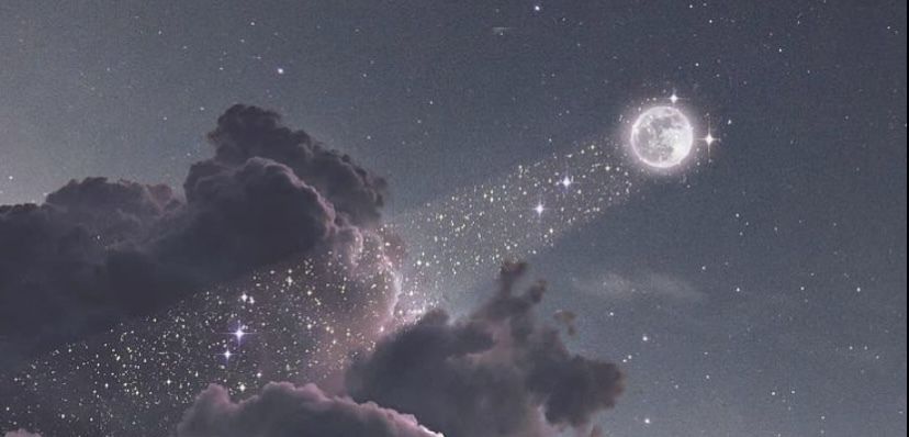 thestarseed OnlyFans profile picture