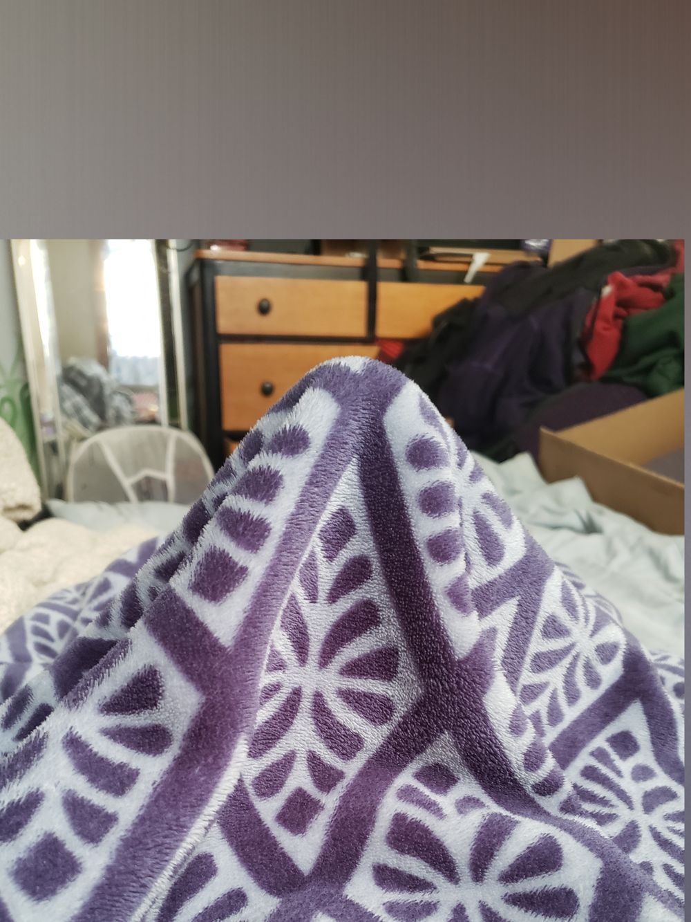ninefoursho OnlyFans profile picture