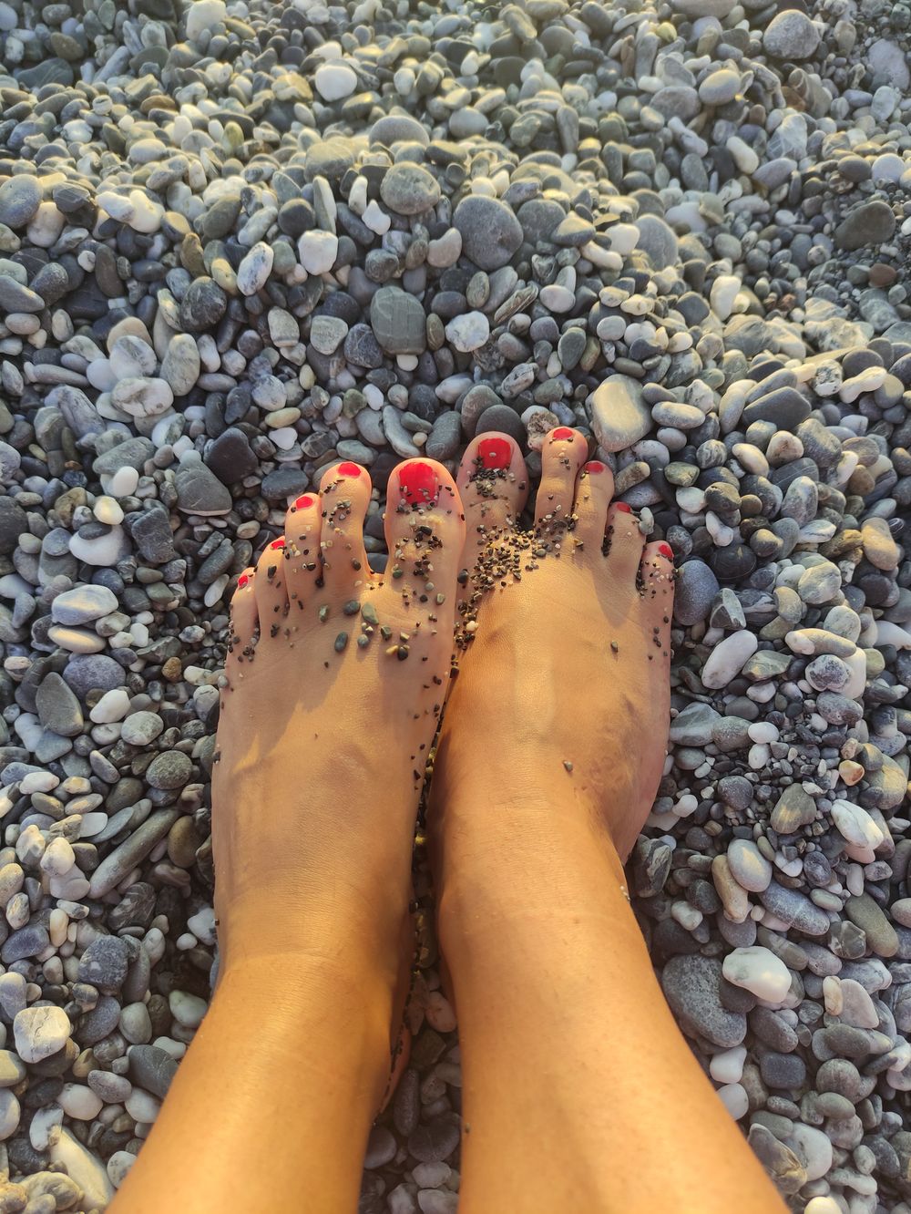 smellysakura OnlyFans profile picture