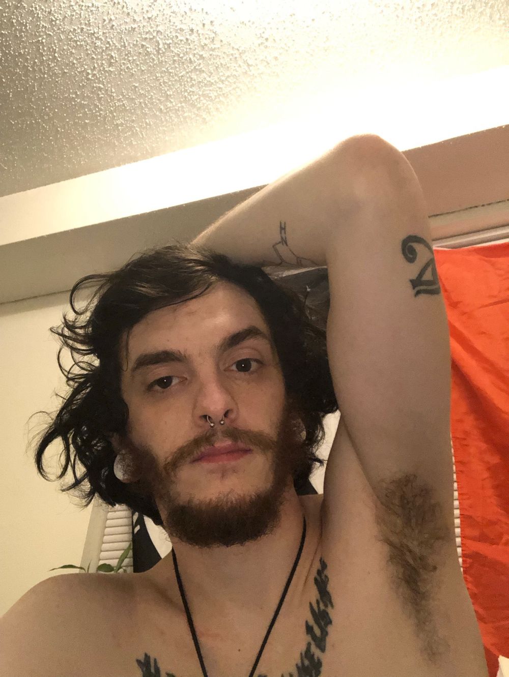 mothcreamp1e OnlyFans profile picture
