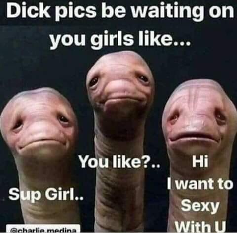 adventureswithdick OnlyFans profile picture