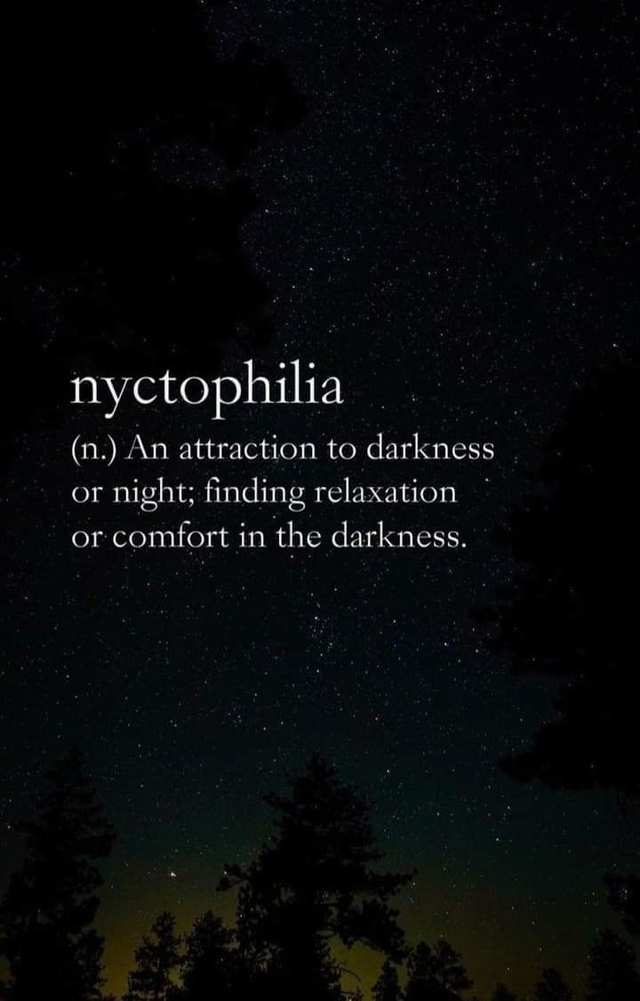 nyctophiliacs OnlyFans profile picture