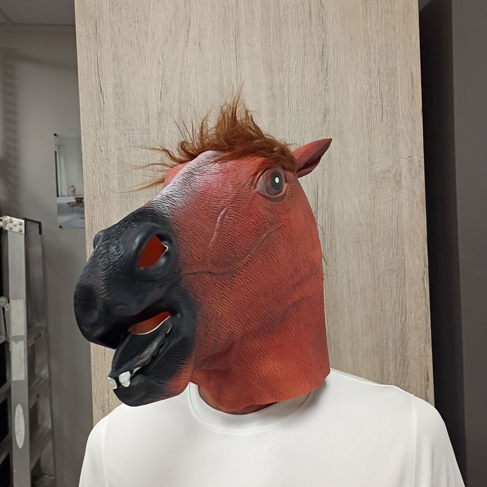mrrhorse OnlyFans profile picture