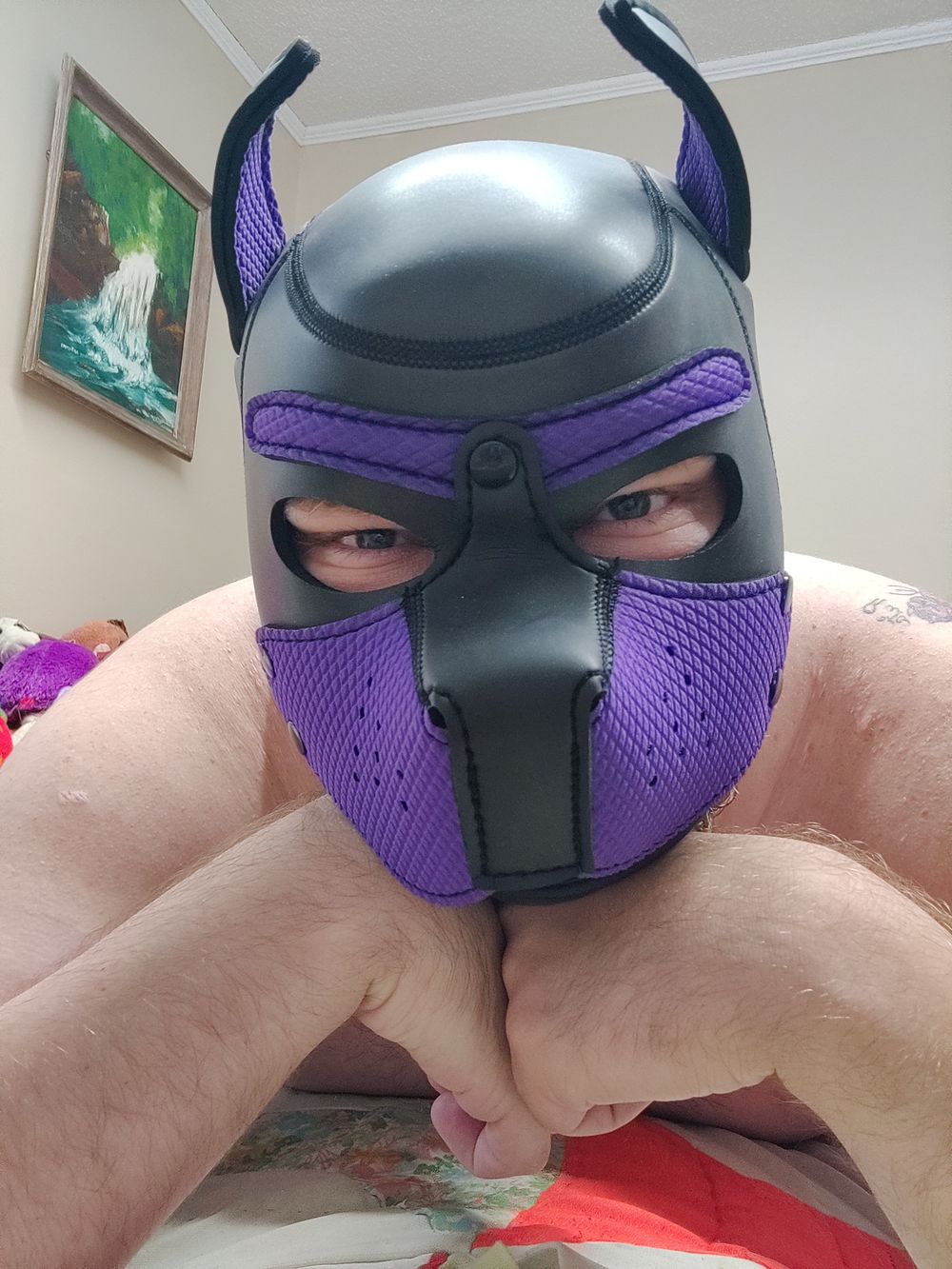 puplace OnlyFans profile picture