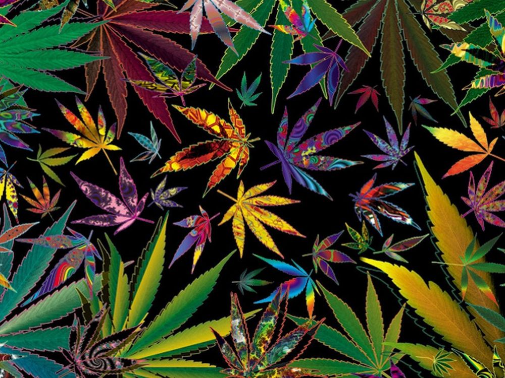 hippiehaze OnlyFans profile picture