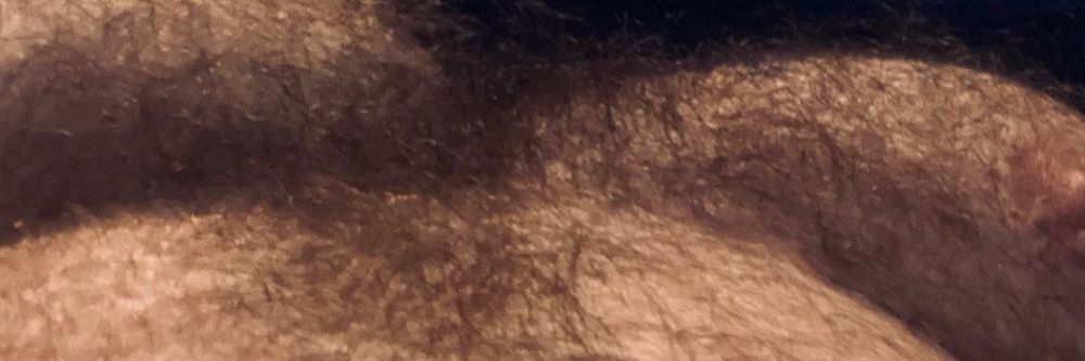 redbearded_88 OnlyFans profile picture