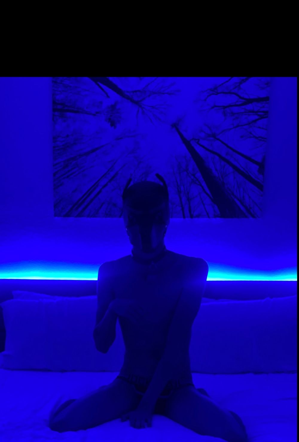 riotiswyatt OnlyFans profile picture