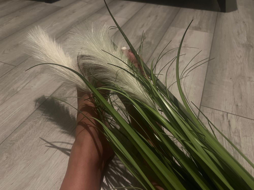 feetie_may OnlyFans profile picture