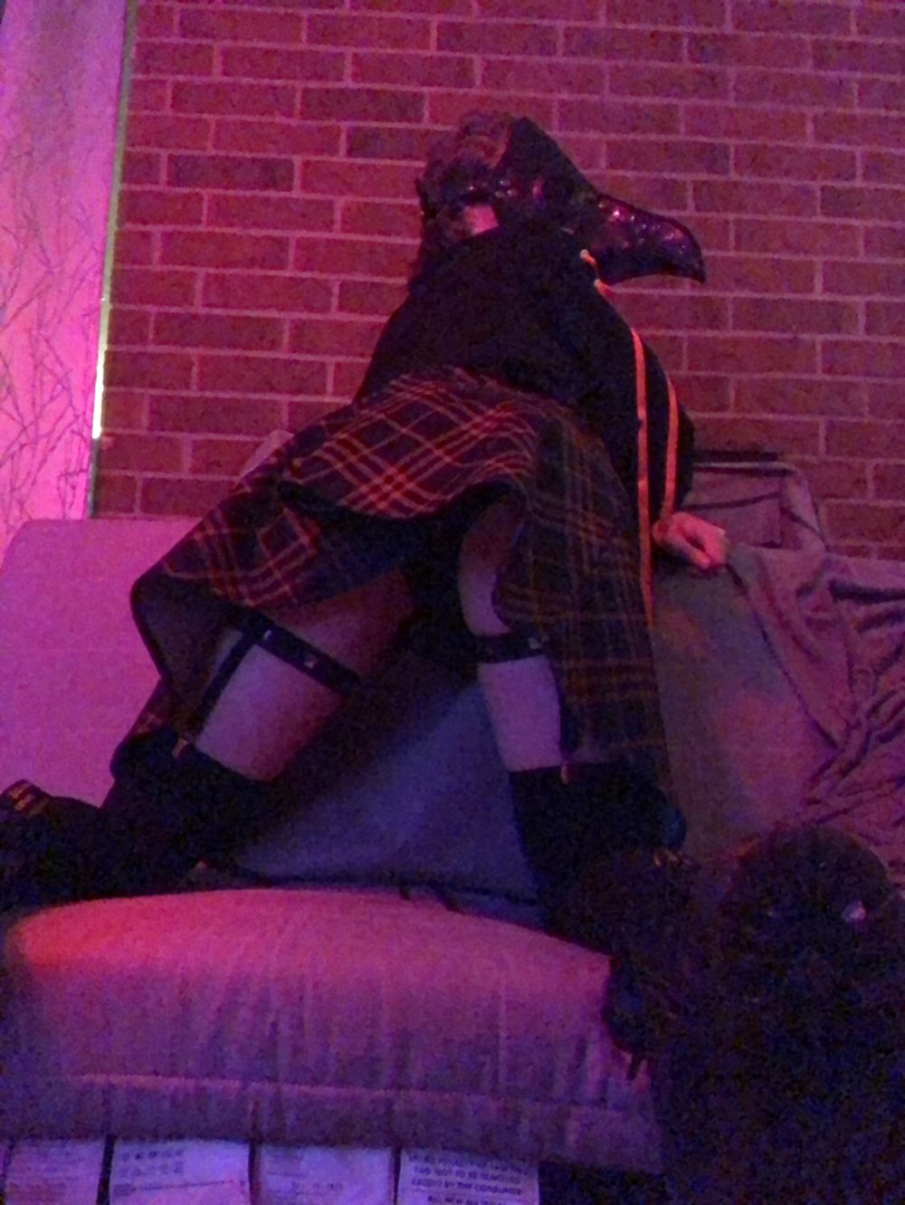 ariolimax OnlyFans profile picture
