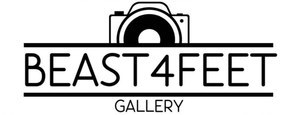 beast4feet OnlyFans profile picture