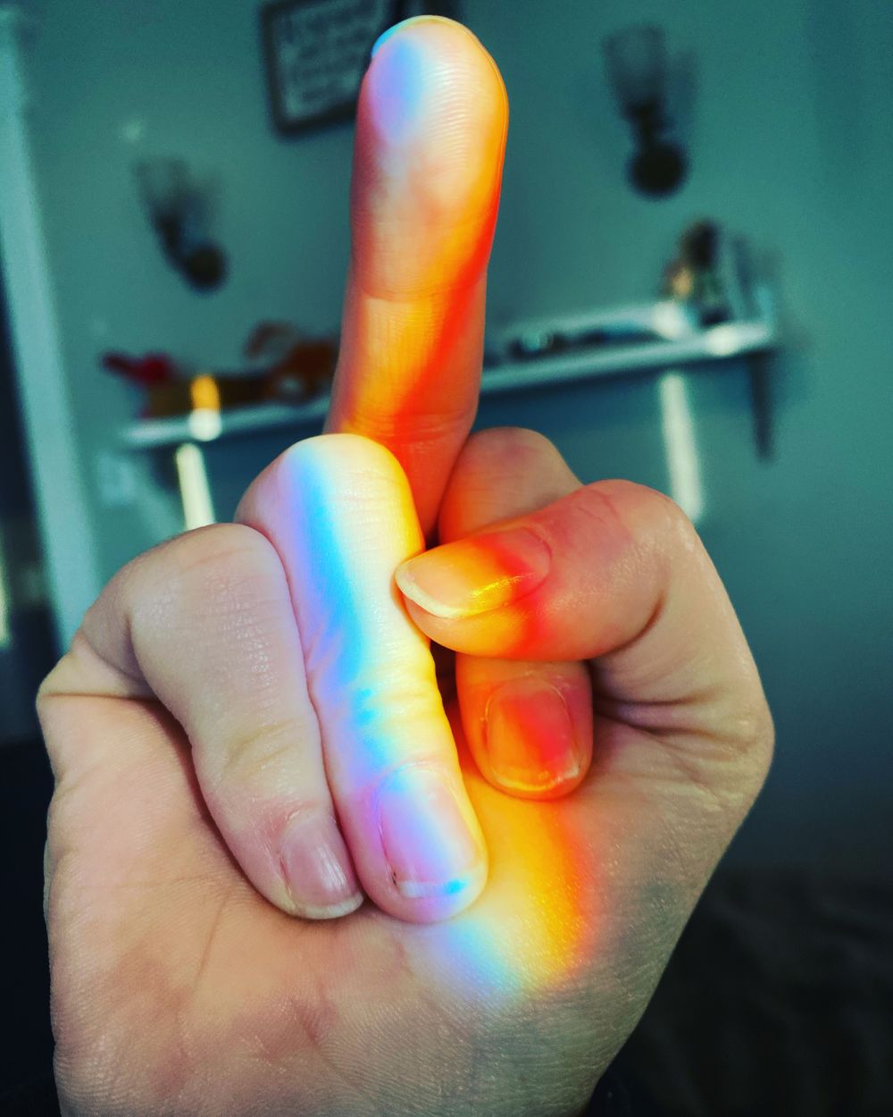 roryborealis OnlyFans profile picture