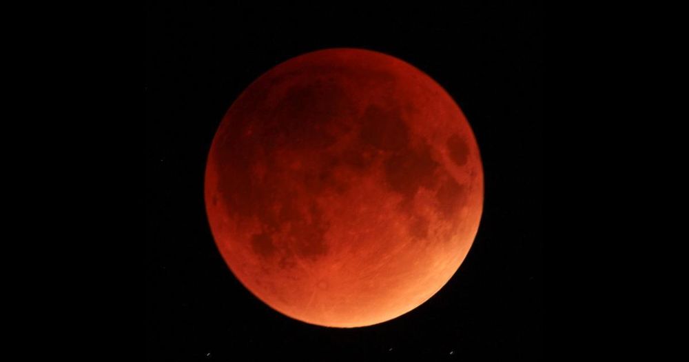thekillingmoon OnlyFans profile picture