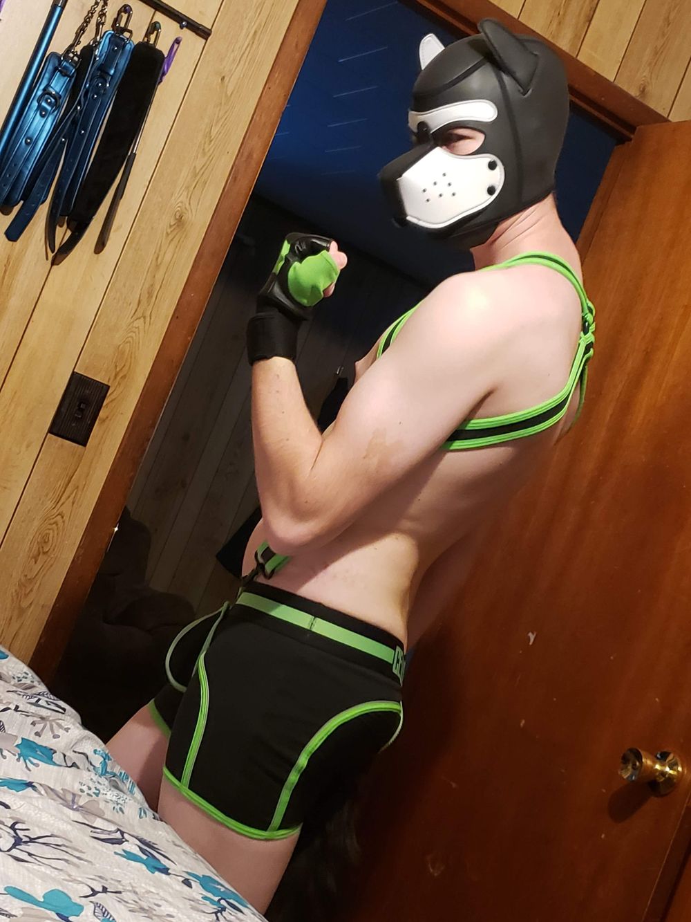 pup-boy OnlyFans profile picture