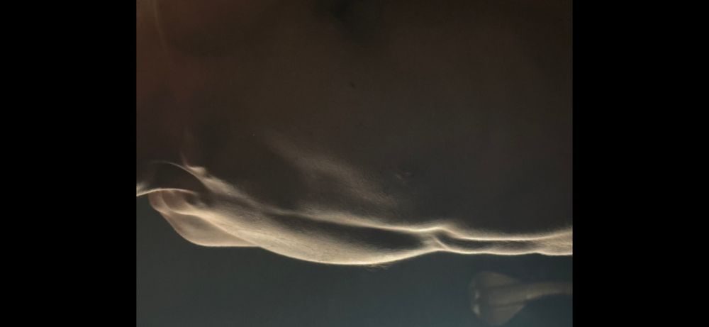 playyboiidallas OnlyFans profile picture