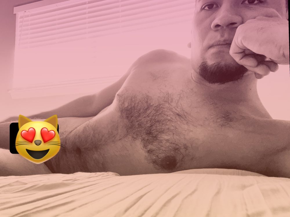 latinkatytx OnlyFans profile picture