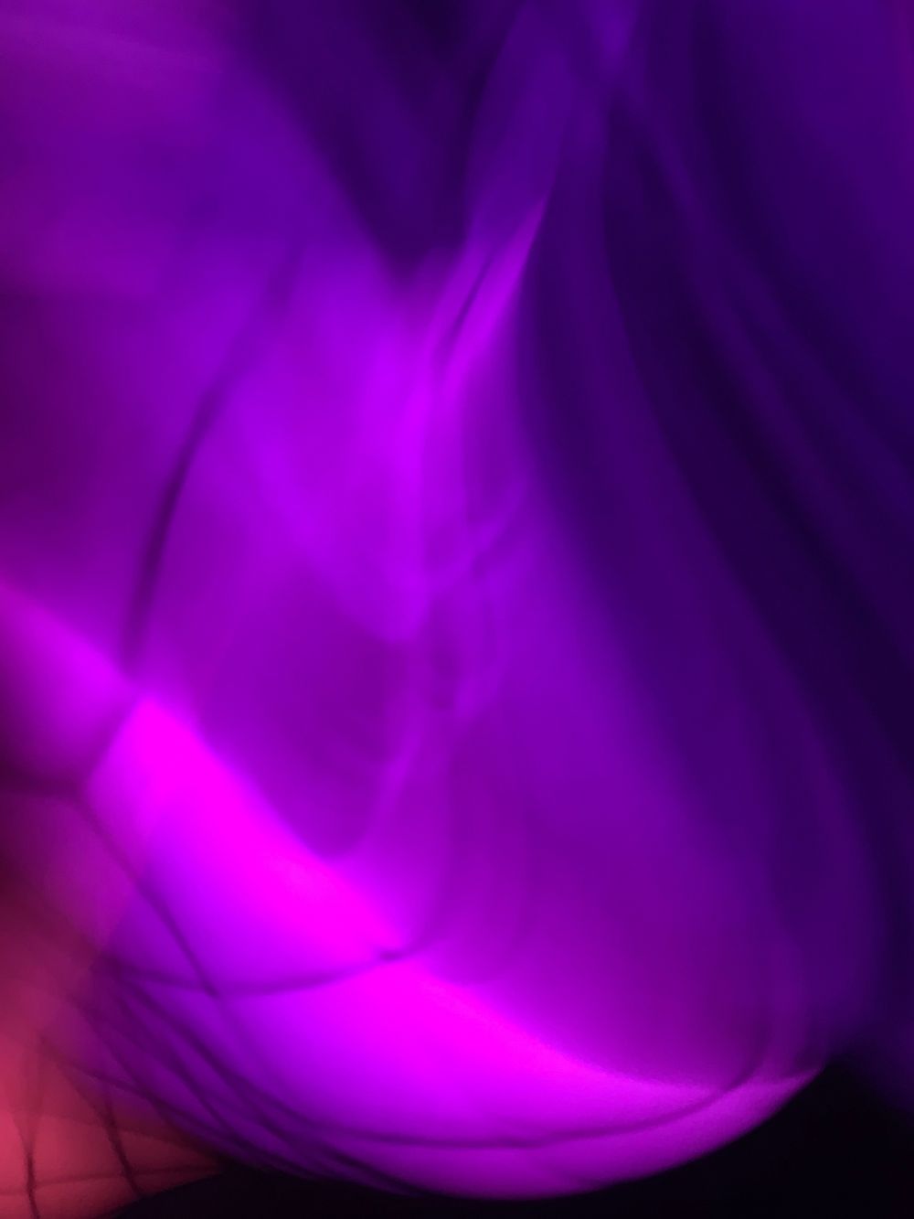 gainsgoddessfl OnlyFans profile picture