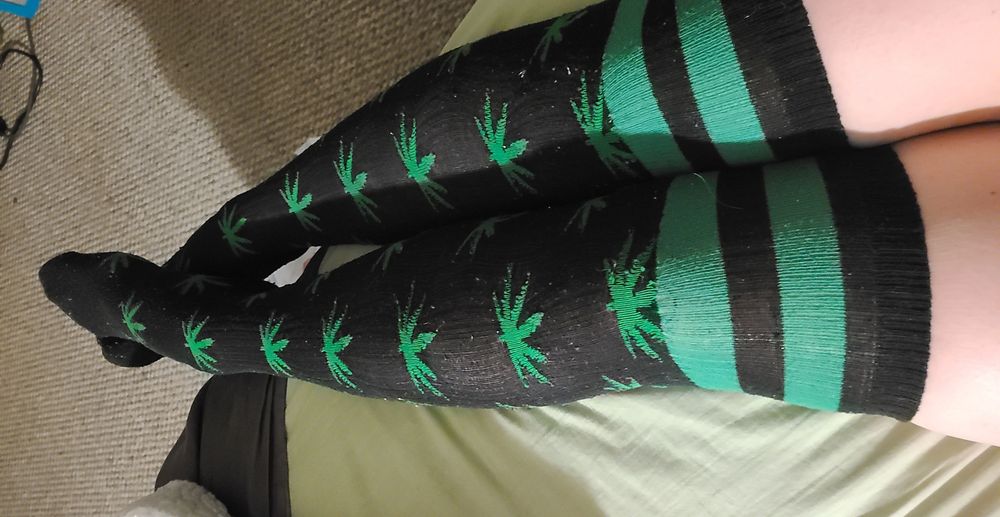 harleykinkster OnlyFans profile picture