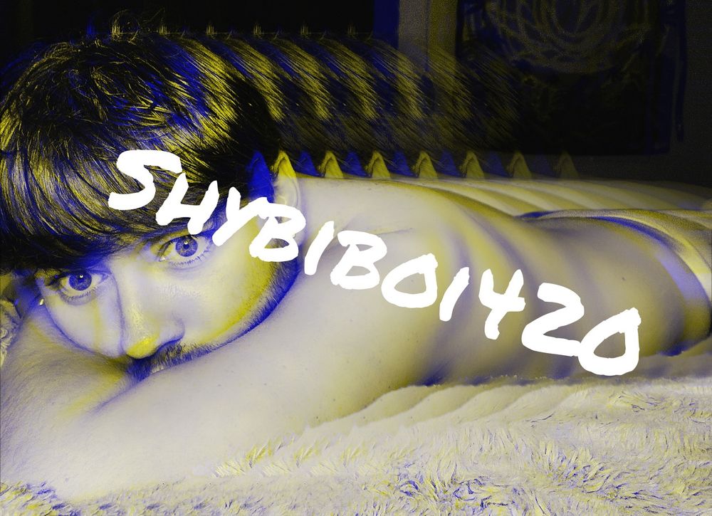 shybiboi420 OnlyFans profile picture