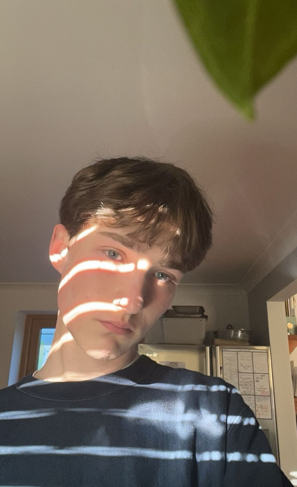 dylanashman OnlyFans profile picture