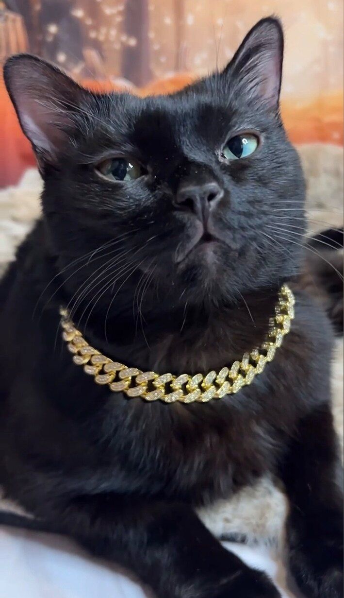 booboosoocrispy OnlyFans profile picture