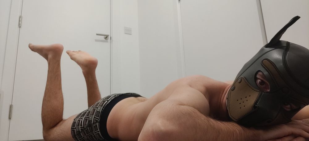 pup_herme OnlyFans profile picture