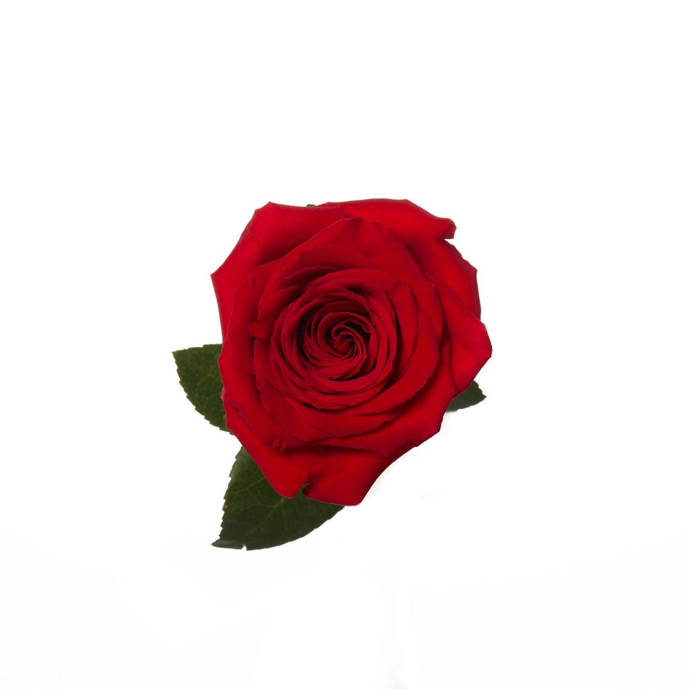 u194856490 OnlyFans profile picture