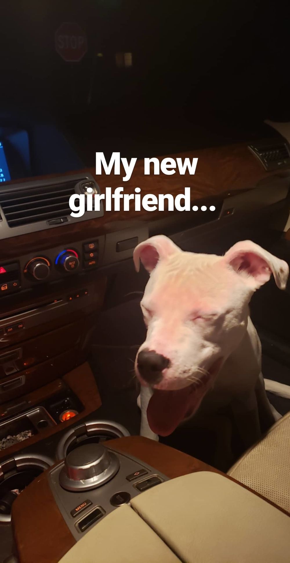 tookoo OnlyFans profile picture