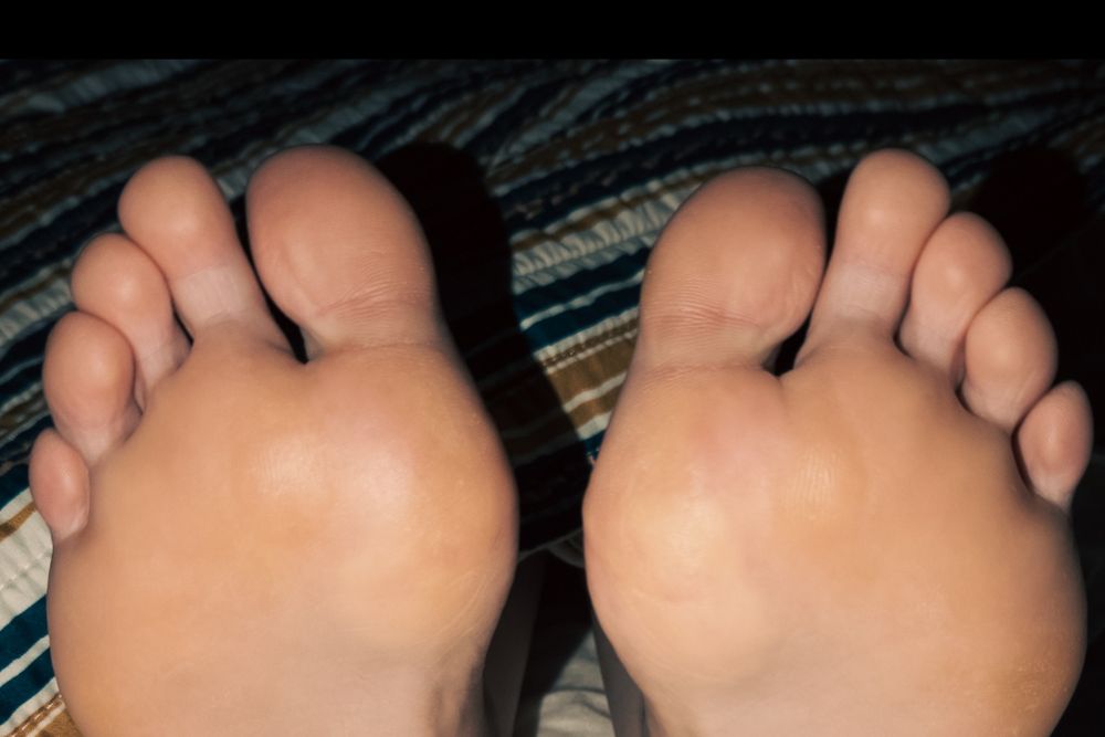combatpiggies OnlyFans profile picture
