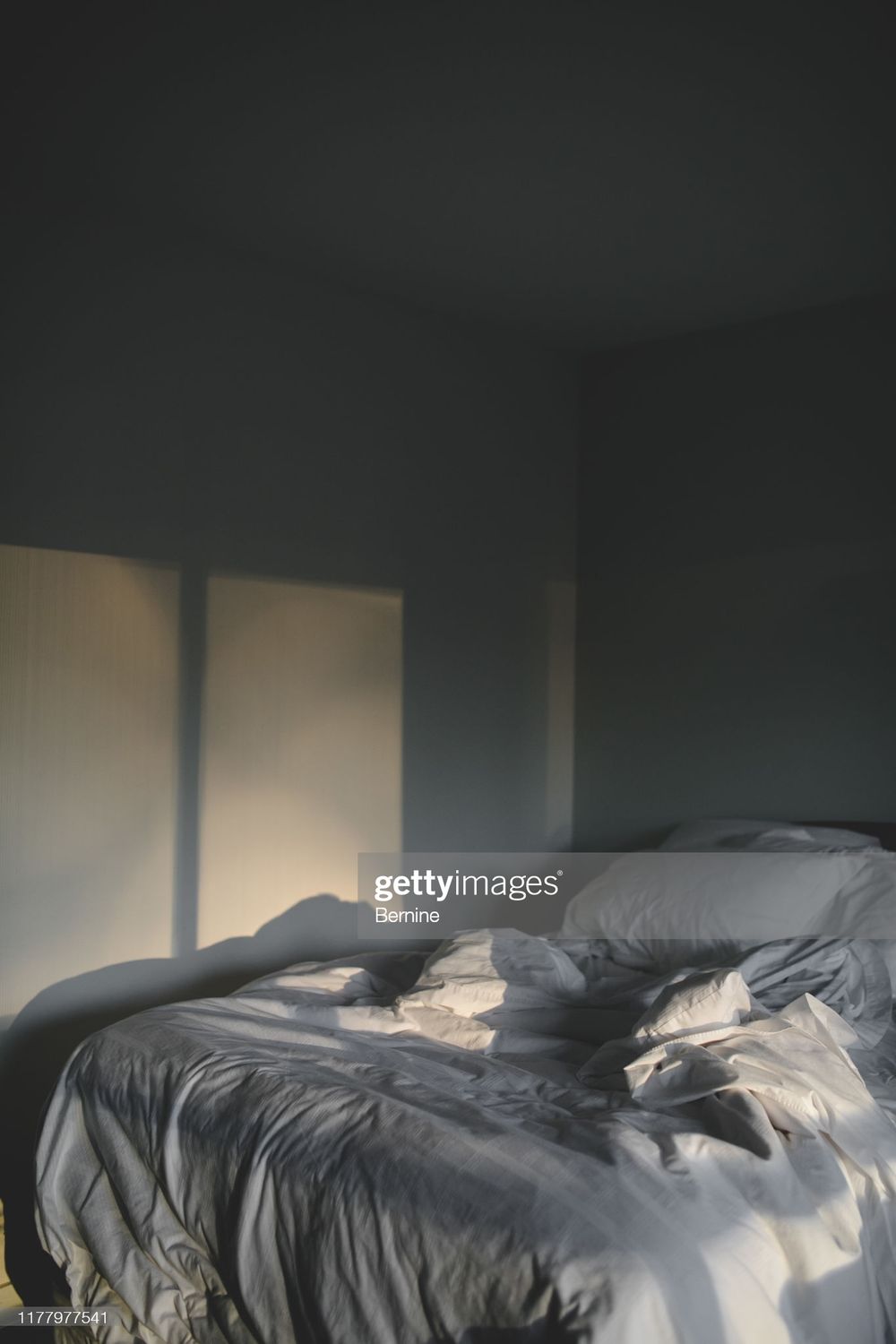 versking21 OnlyFans profile picture