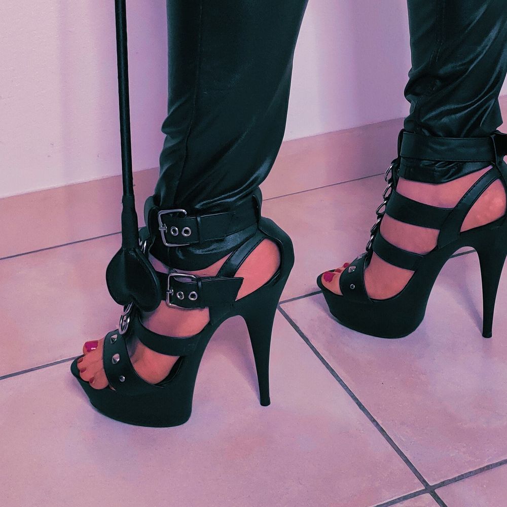 sweetdreamsfeets OnlyFans profile picture