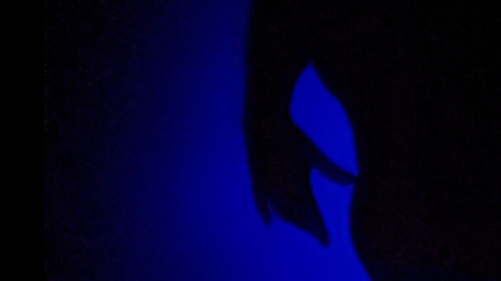 financingmynextalbum OnlyFans profile picture