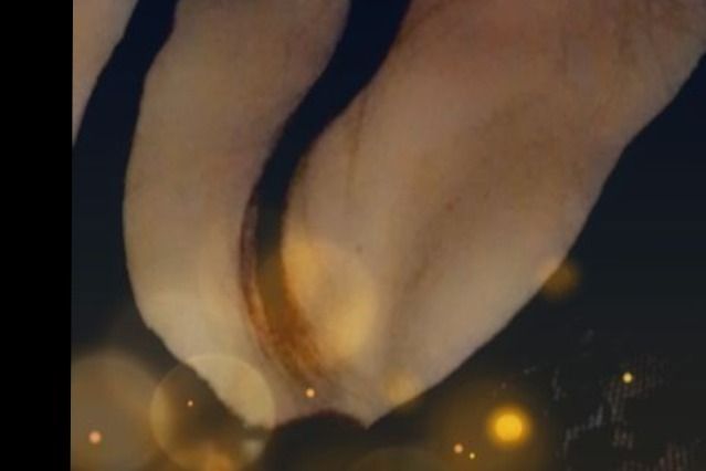 u224060683 OnlyFans profile picture