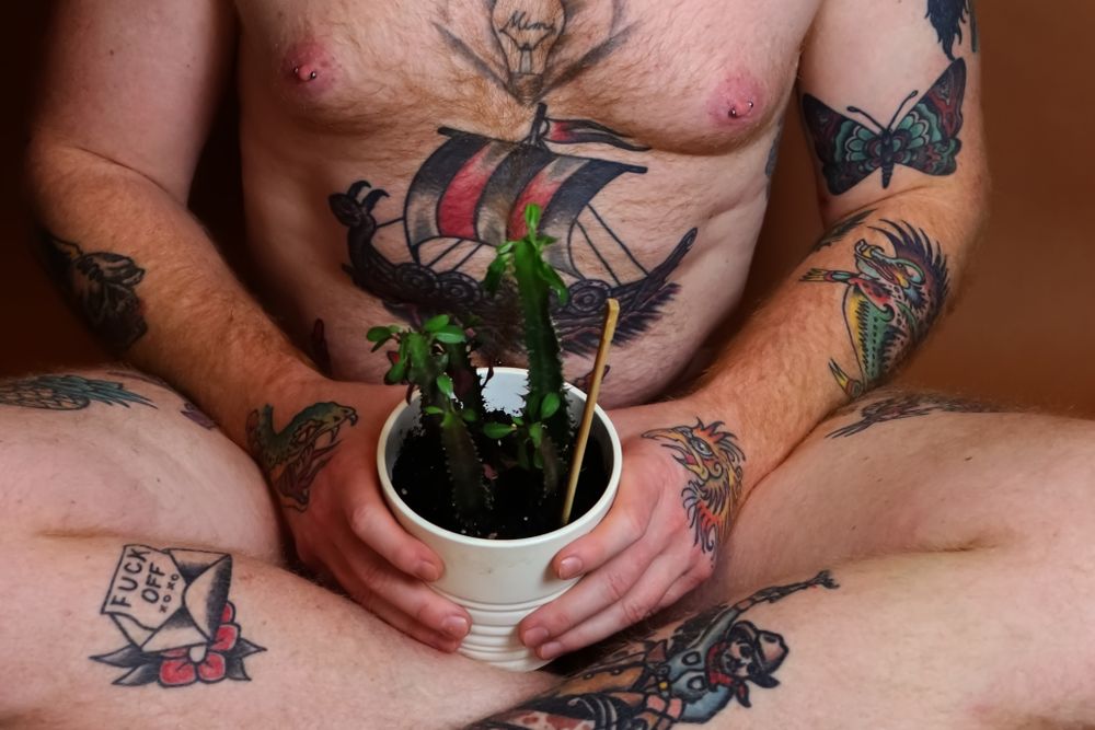 joeystacked OnlyFans profile picture