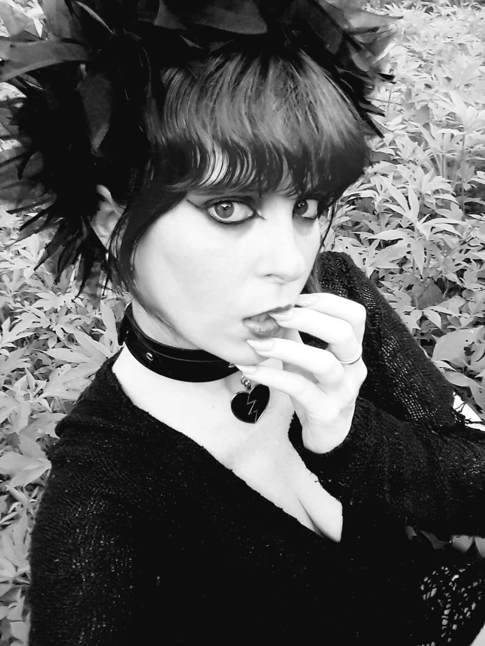 theladykat OnlyFans profile picture