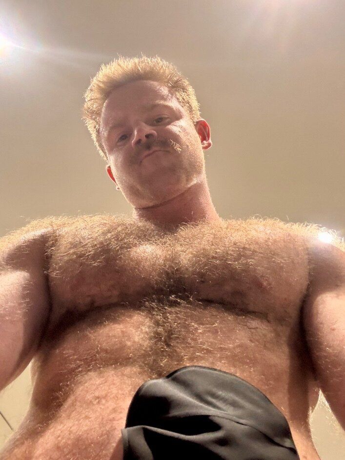 harrysmith1 OnlyFans profile picture
