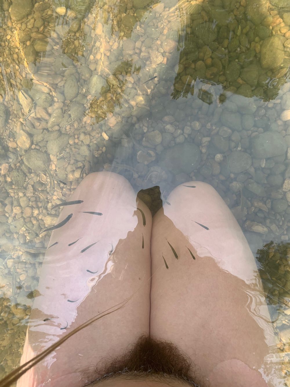 felixnymph OnlyFans profile picture