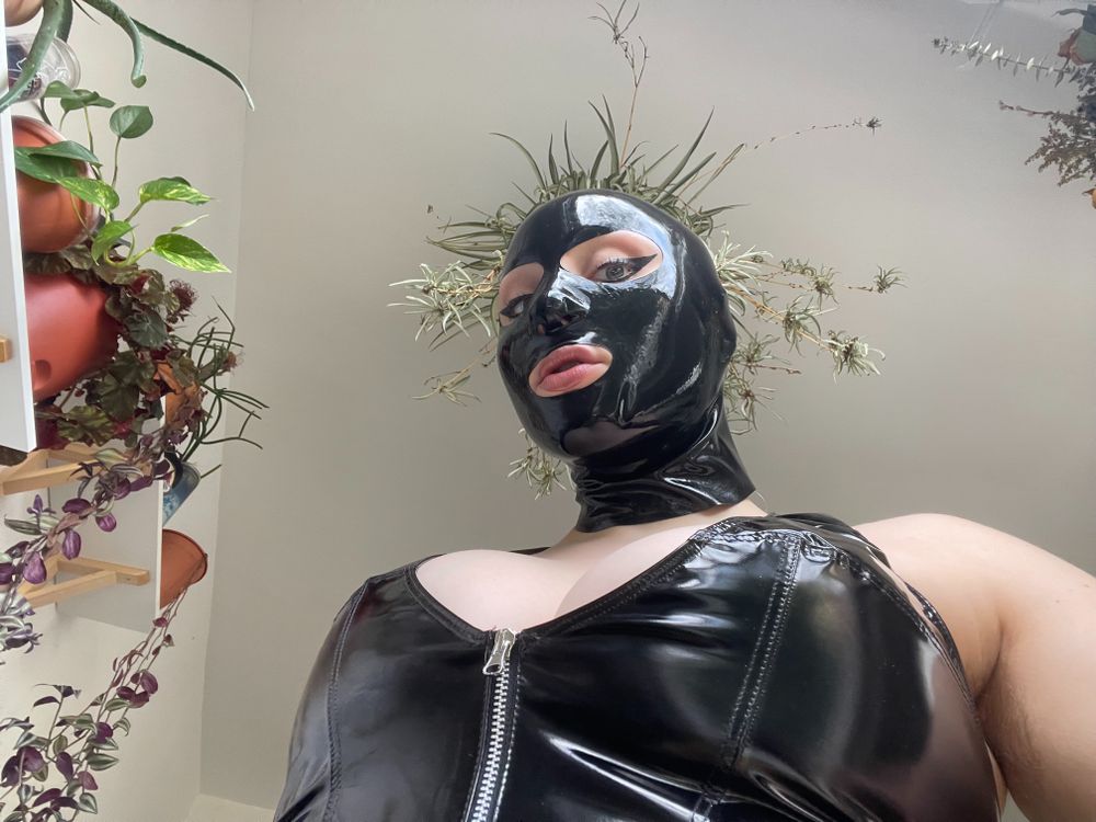 vesperrouge OnlyFans profile picture