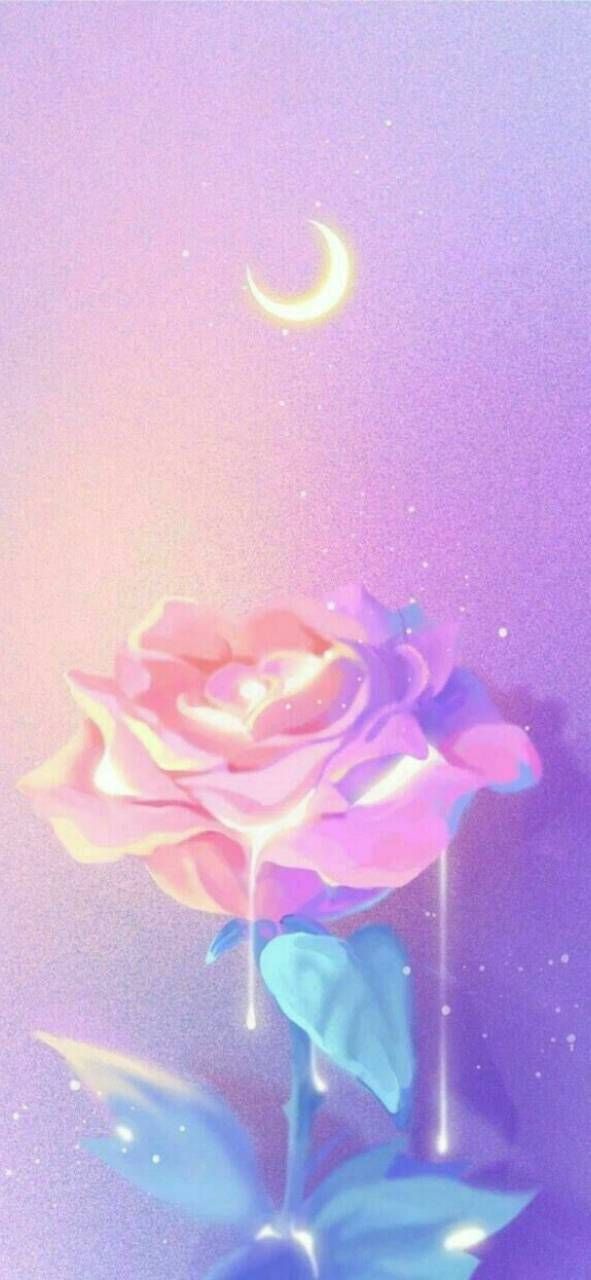 tad2cute OnlyFans profile picture