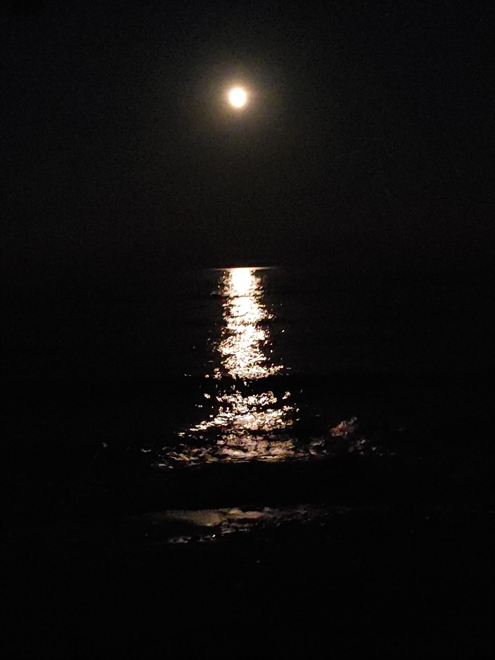 moonlightjayy OnlyFans profile picture