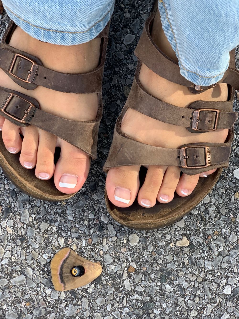 theladykay OnlyFans profile picture